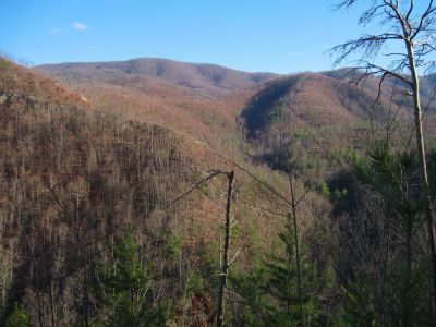 View From Longarm Ridge
The Big Pine Ridge Knobs, with the 'landbridge' connector in between, and the 'Meat-grinder Ridge' that overlooks Sill Branch in the Distance.
November, 2010
