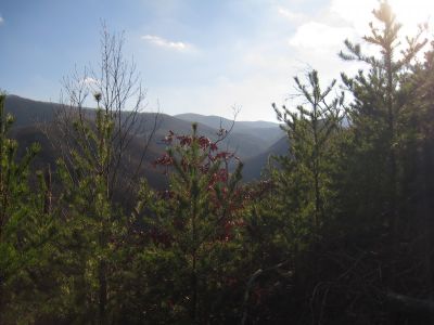 View From Longarm Ridge
The Longarm Valley...
November, 2010
