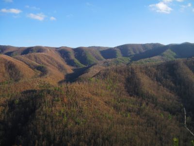 View From Longarm Ridge
The Big Pine Ridges and the Devil's Fork Valleys...
November, 2010
