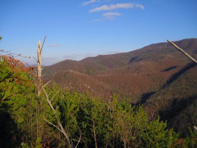 View From Longarm Ridge
The Big Pine Ridges, with Sill Branch and the 'Meat-grinder Ridge' in the distance...
November, 2010 
