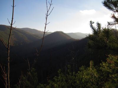 View From Longarm Ridge
Light and Shadows highlighting the knob on Longarm Ridge.
November, 2010

