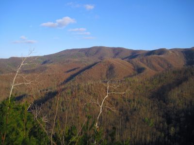 View From Longarm Ridge
Rich Mountain--The Big Pine Ridges 
November, 2010
