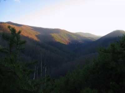 Descending Longarm Ridge
The Longarm Valley, and the 'Wilderness Hollow' carved into the side of Big Pine Ridge.
November, 2010
