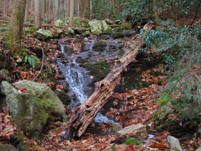 Lower Wilderness Falls
November, 2010
