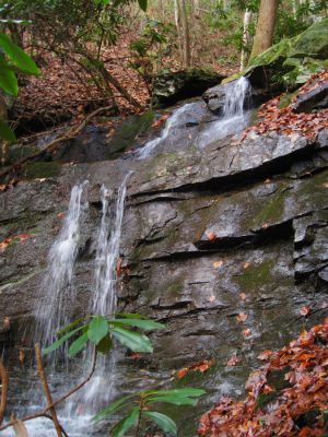 Lower Part of Wilderness Falls
November, 2010
