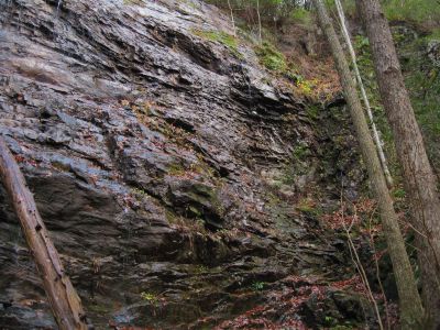 Wilderness Falls
Sampson Wilderness
November, 2010
