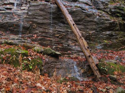 Wilderness Falls
Sampson Wilderness
November, 2010
