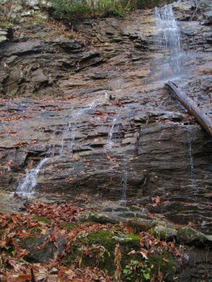 Wilderness Falls
Sampson Wilderness
November, 2010
