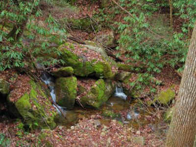Longarm Branch
Cascades
Sampson Wilderness
November, 2010
