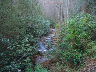 Longarm Branch
Lower Falls
Sampson Wilderness
November, 2010
