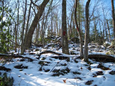 The Whitehouse Mountain Trail
Ridge Trail to top of knob
Rocky Fork
December, 2010

