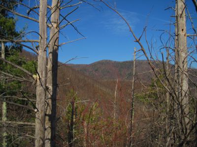 View From Whitehouse Mountain
Higgins Ridge (Rich Mountain) in the distance
Rocky Fork
December, 2010
