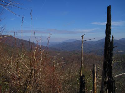 View From Whitehouse Mountain
Unaka Mountain in the distance...
Rocky Fork
December, 2010
