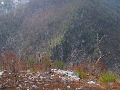Descending Whitehouse Mountain
To the top of the 'Stonehenge' Cliffs, looking over and down upon the Flint Mountain Cliffs...
Rocky Fork
December, 2010
