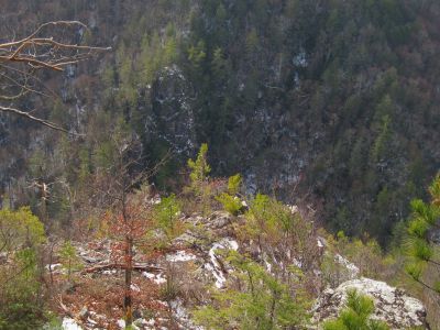 Whitehouse Mountain Cliffs
The view from 'Stonehenge' Cliffs...
Flint Mountain Cliffs are across the valley.
Rocky Fork
December, 2010
