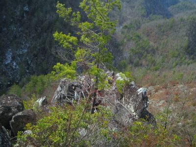 View From Whitehouse Mountain Cliffs
aka, 'Stonehenge'
Below and to the right is the disk-like, sheer-sided, fractured rock spine that rises up out of the side of the knob above Rocky Fork Creek.
Rocky Fork Area,
December, 2010
