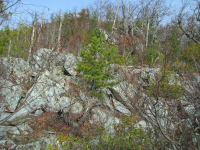 Whitehouse Mountain Cliffs
Some of the rock ledges above the sheer cliff drop-off.
Rocky Fork Area,
December, 2010
