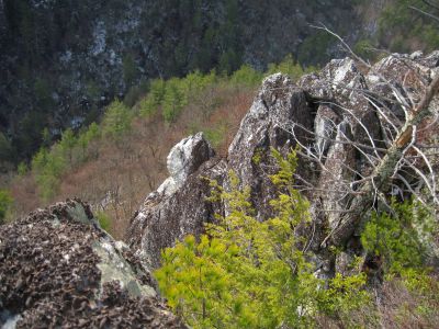 'Stonehenge' Cliffs
The disk-like, sheer-sided, fractured rock spine that rises up out of the side of the knob above Rocky Fork Creek.  Photo from the neighboring cliff-top.
Rocky Fork Area,
December, 2010
