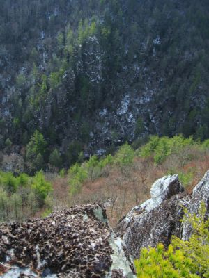 Whitehouse Mountain Cliffs
More views of the awesome 'Stonehenge'--
The disk-like, sheer-sided, fractured rock spine that rises up out of the side of the knob above Rocky Fork Creek.  Photo from neighboring cliff-top.  Note the Flint Mountain Cliffs across the valley, and the Creek in the bottom.
Rocky Fork Area,
December, 2010
