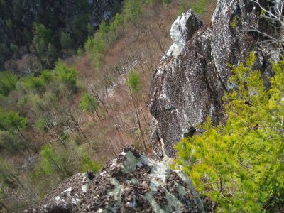 Whitehouse Mountain Cliffs
Vertigo...
looking over the cliff-edge.
Rocky Fork Area
December, 2010
