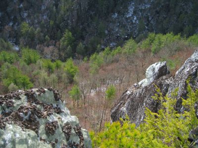 Whitehouse Mountain Cliffs
View from the cliff edge.
Rocky Fork Area,
December, 2010
