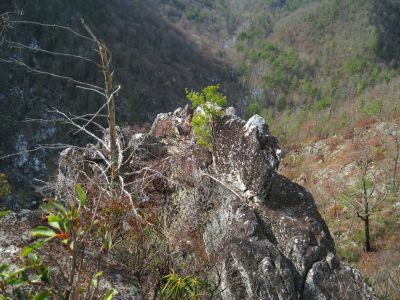 Whitehouse Mountain Cliffs
View from Cliff edge.
Rocky Fork Area,
December, 2010
