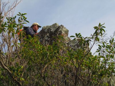 Whitehouse Mountain Cliffs
Rock on top of the 'pointed boulder' on the edge of cliff...
Rocky Fork Area,
December, 2010
