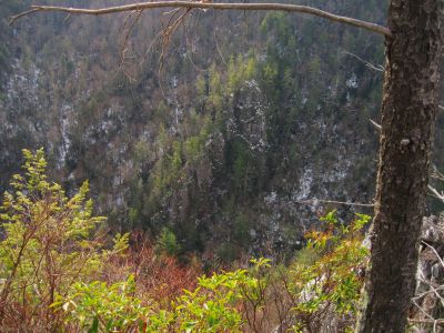 'Stonehenge' Cliffs
View from Cliff edge...Flint Mountain Cliffs across the valley, Rocky Fork Creek in the bottom.
Rocky Fork Area,
December, 2010

