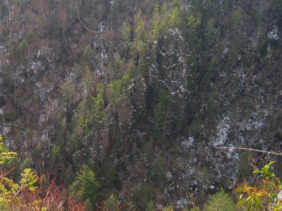 Whitehouse Mountain Cliffs
View from Cliff edge...Flint Mountain Cliffs across the valley, Rocky Fork Creek in the bottom.
Rocky Fork Area,
December, 2010
