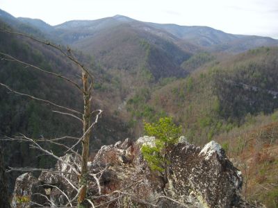 Whitehouse Mountain Cliffs
View from Cliff edge...
Rocky Fork Area,
December, 2010
