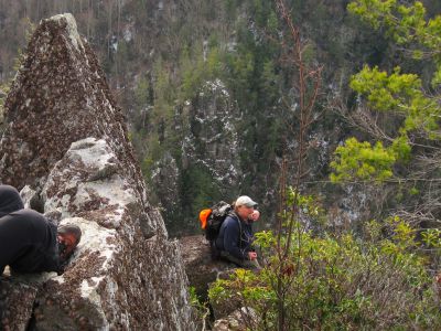 Whitehouse Mountain Cliffs
Rat sits on the cliff edge, Flint Mountain Cliffs across the valley.
Rocky Fork Area,
December, 2010
