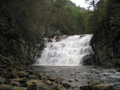 Laurel Fork Falls
12-18-2010
