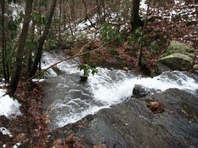 Stream Near Shelter
12-18-2010
