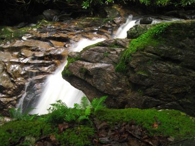 Upper Laurel Falls
Boulder on top
Upper Laurel Falls
7-15-2018
