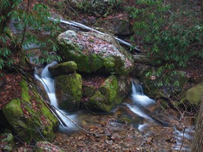 Cascades On Longarm Branch
1-5-2011
