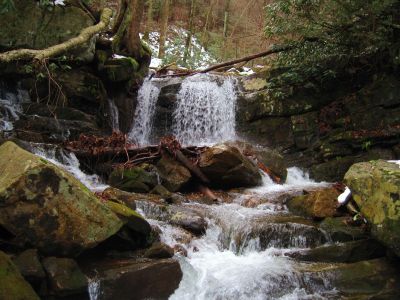 Small Set Of Falls
about 12 foot, along the Margarette Falls Trail,
1-20-2011
