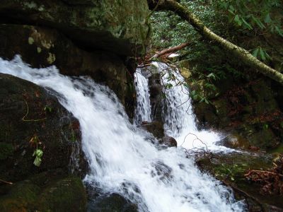 Double Cascade
along the Margarette Falls Trail,
1-20-2011
