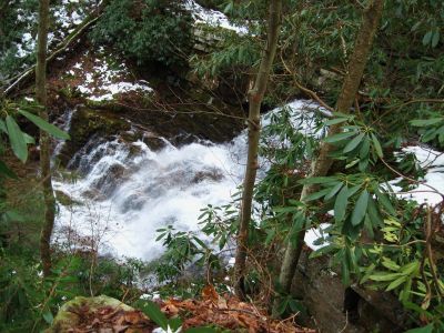 Margarette Falls
View from above,
1-20-2011
