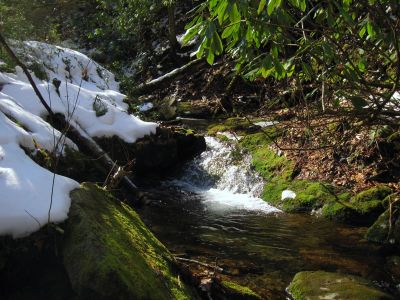 Cascades
Took a late lunch/snack break beside these cascades while studying the map, and contemplating our return to Spivey Gap.
Upper Devil's Creek,
1-29-2011
