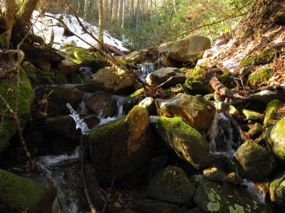 Cascades
With an ice sculpture...
Upper Devil's Creek,
1-29-2011
