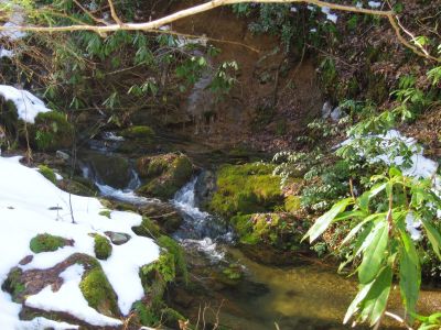 Cascades and Pool
Upper Devil's Creek,
1-29-2011
