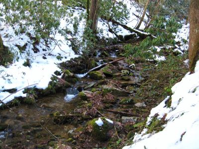 Devil's Creek
1-29-2011
