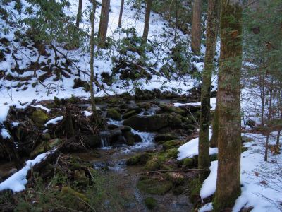 Meandering Through Snow
Upper Devil's Creek,
1-29-2011
