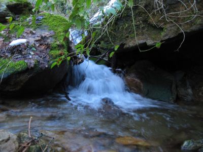 Cascades
Upper Devil's Creek,
1-29-2011
