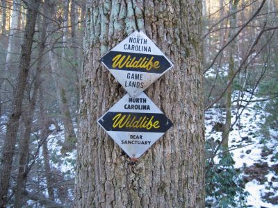 Wilderness Sign
Devil's Creek is a bear reserve...
Upper Devil's Creek,
1-29-2011
