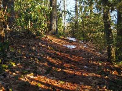 Nice Trail
The Appalachian Trail goes through Devil's Creek Gap,
1-29-2011
