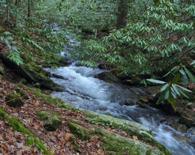 Jennings Creek
2-1-2011
