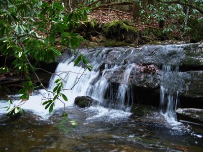 Cascades on Little Jennings Creek
2-1-2011
