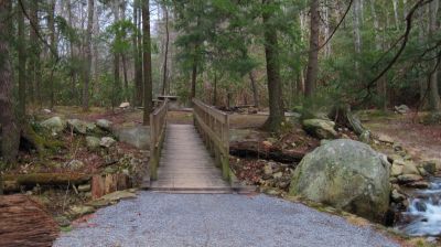Horse Creek
Picnic Area...
2-1-2011
