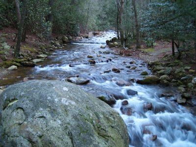 Horse Creek
2-1-2011
